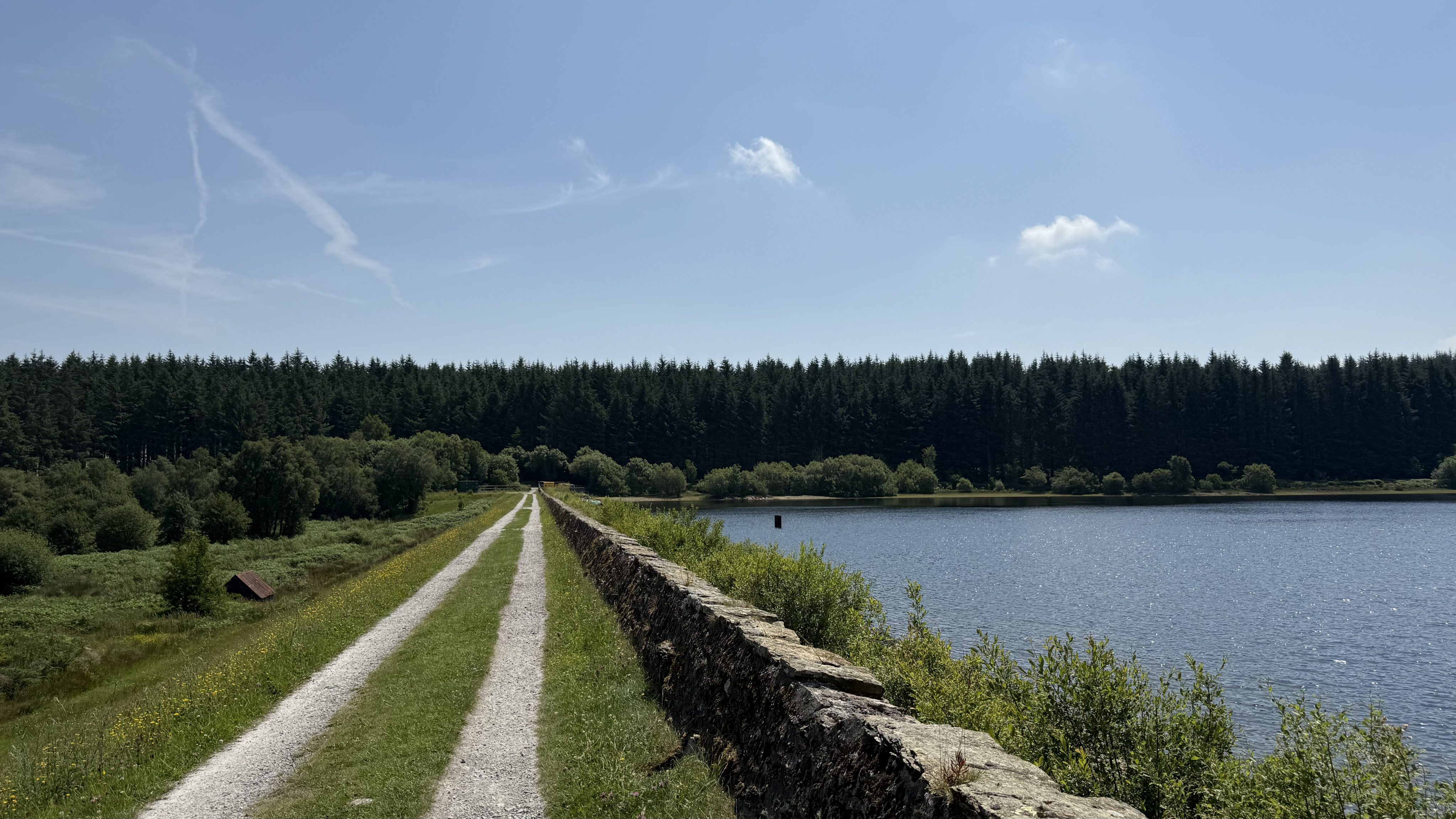 Llandegla Forest Hike